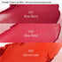 Powder Cream Lip Balm 031 Rose Burn 3,5g - WowSkin Romania