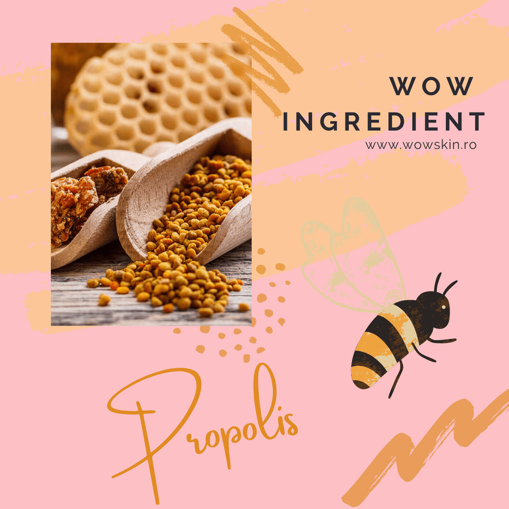 WOW Ingredient: Propolis