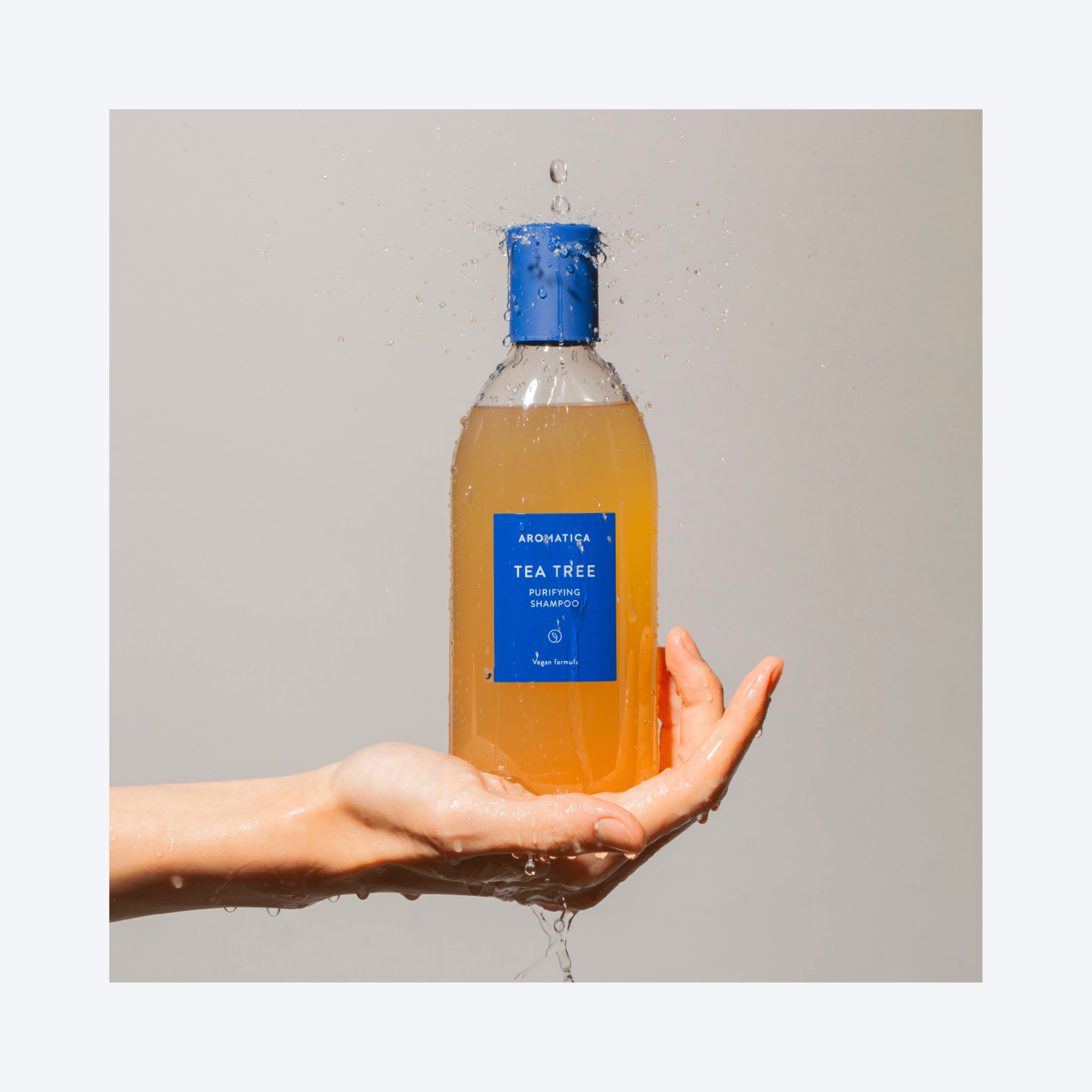Șamponul purificator Aromatica Tea Tree îndepărtează impuritățile și calmează inflamațiile scalpului. Formulă vegană, ideală pentru îngrijirea părului problematic.